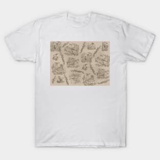 Birds (Burnt wood on Parchment) T-Shirt